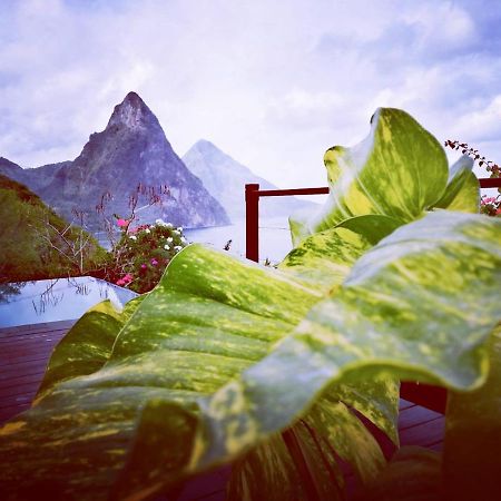 Moringa Villa Studio 1 Soufriere Bagian luar foto