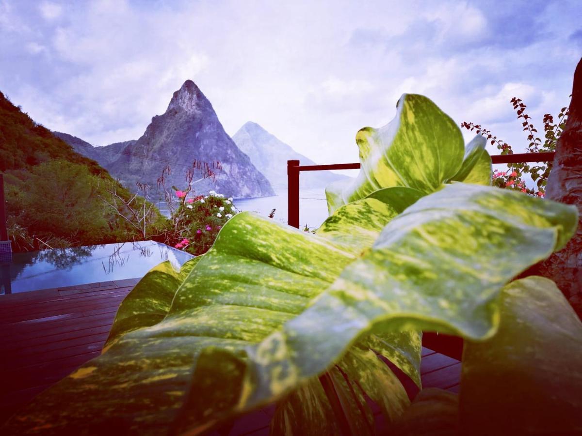 Moringa Villa Studio 1 Soufriere Bagian luar foto